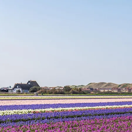 't Zeeduintje - Knus Vakantiehuisje - *