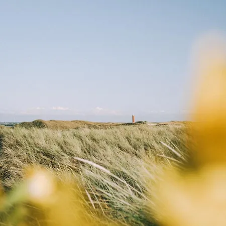 't Zeeduintje - Knus Vakantiehuisje - Holiday home *